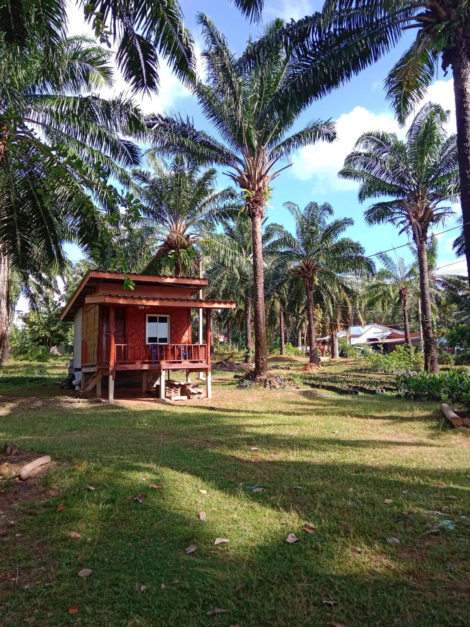 Готель Som Palmgarden Ко-Ланта Екстер'єр фото