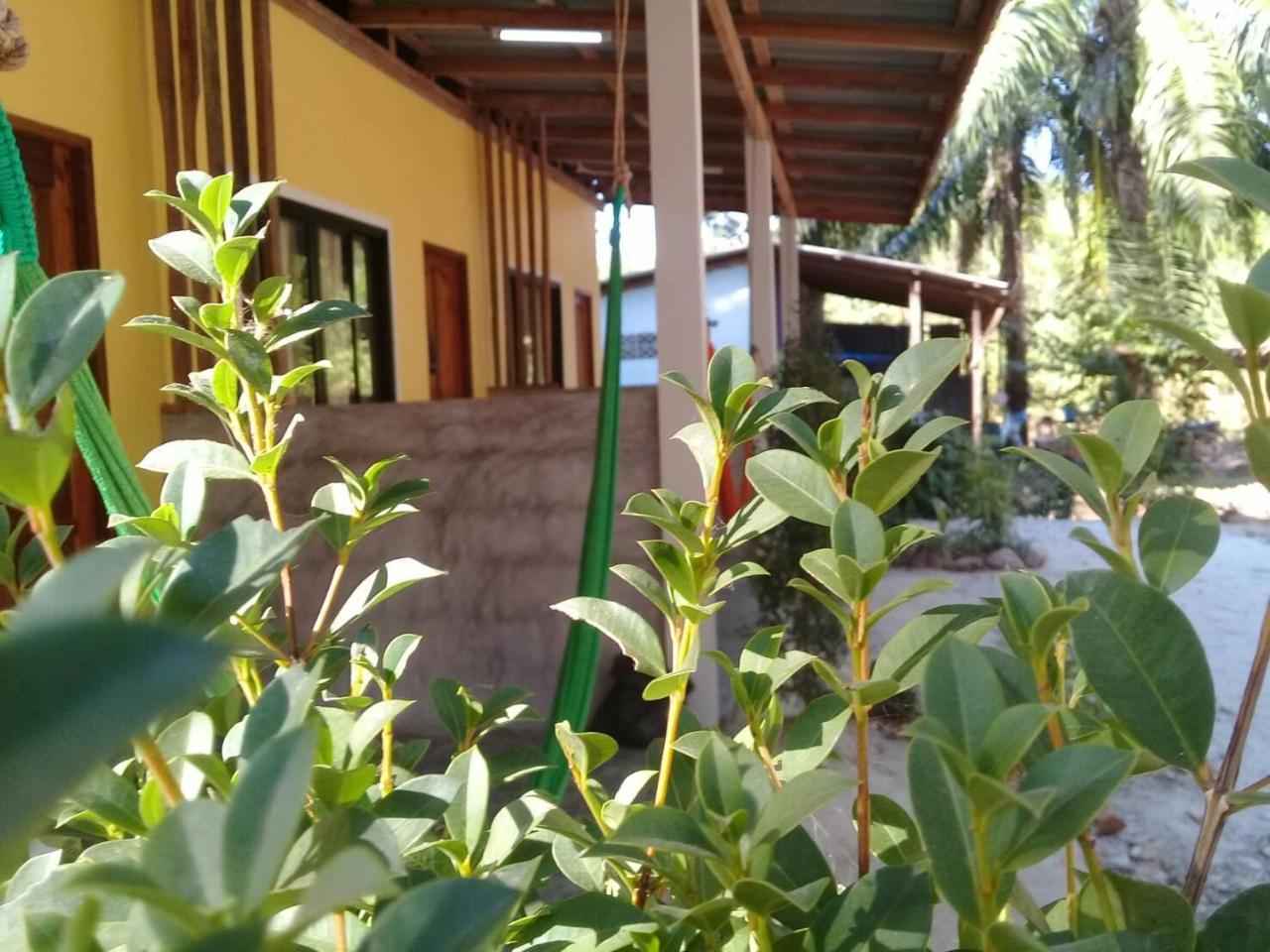 Готель Som Palmgarden Ко-Ланта Екстер'єр фото