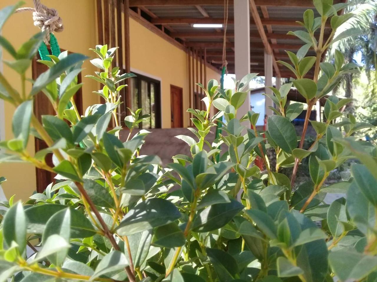 Готель Som Palmgarden Ко-Ланта Екстер'єр фото